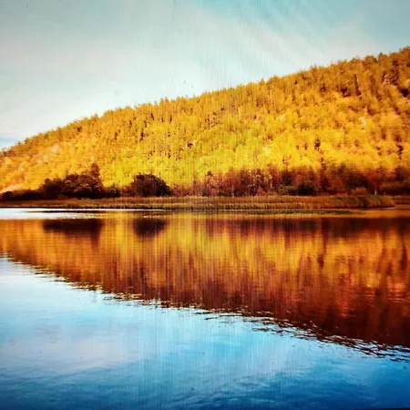 Вилла Paatari, *