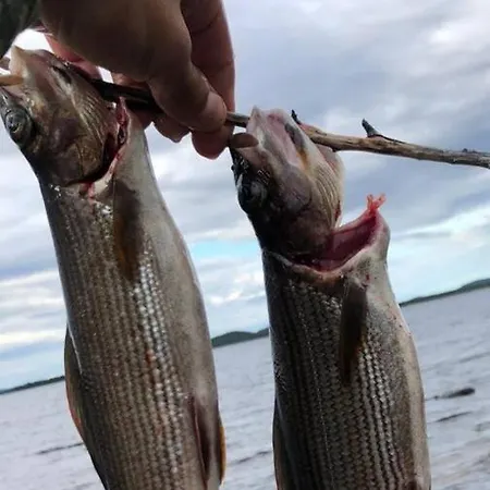 Villa Paatari, Enare