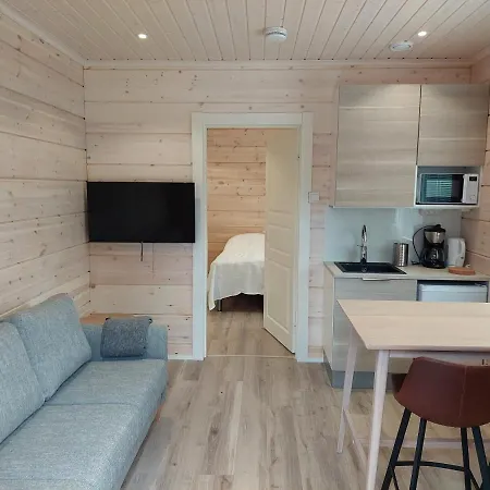 Paatari, Villa Enare