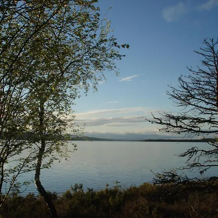 Paatari, Вилла *